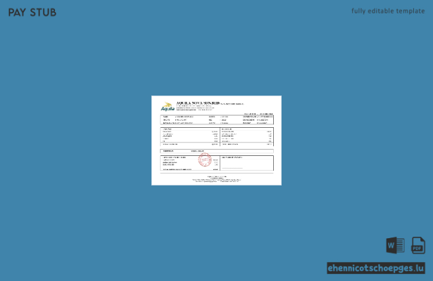 Gehaltsabrechnungsbeispiel für einen Aquila Nova-Berater in Singapur